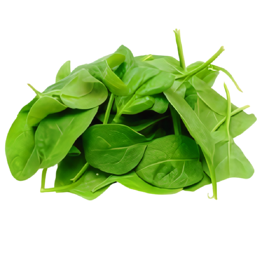 Pousse d'Épinard 250g
