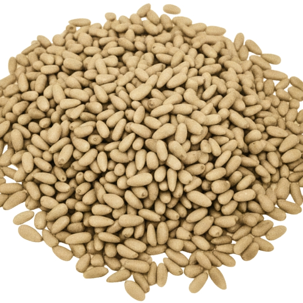[659571] Pignons de Pin 200g