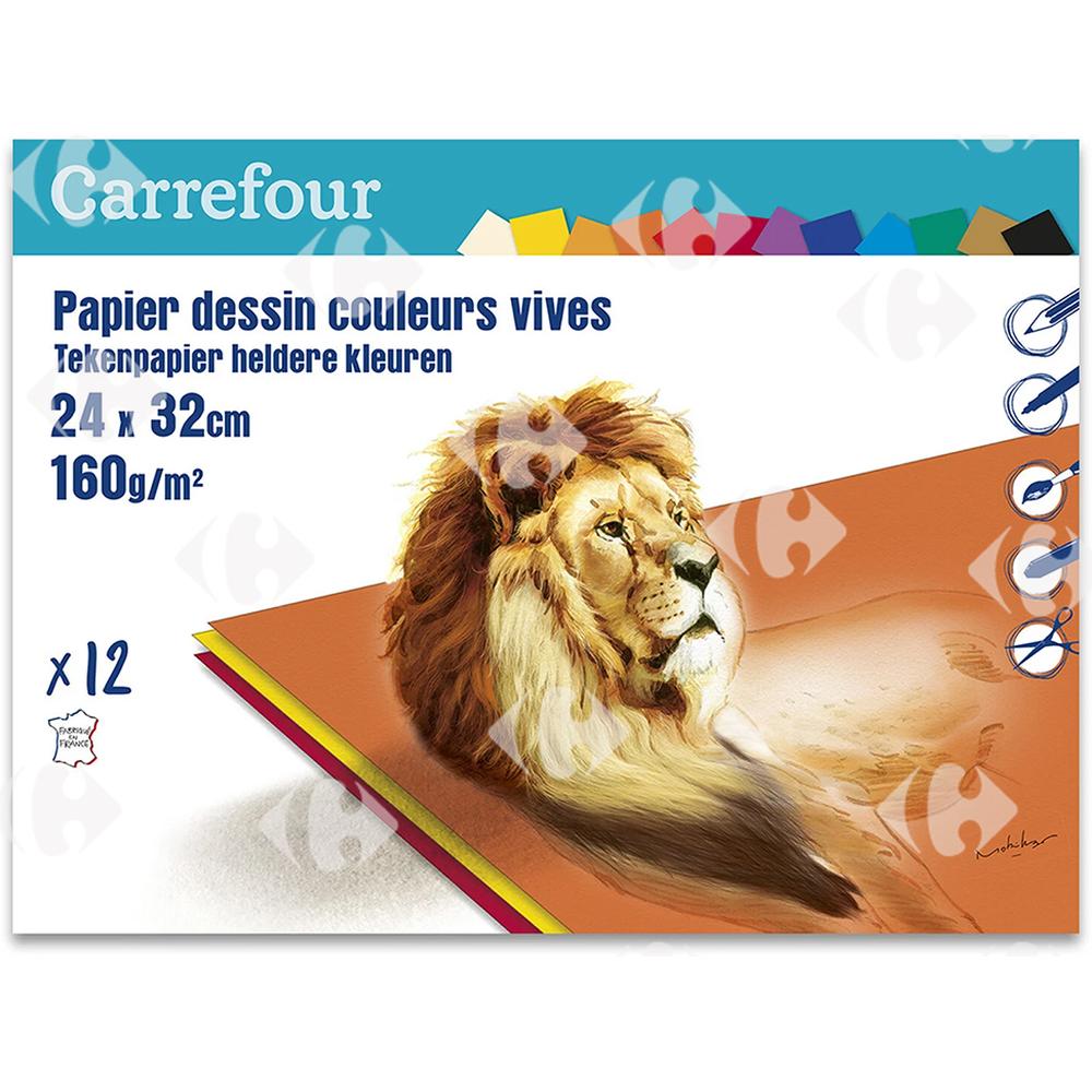 [648059] Papier à Dessin Vives Carrefour 160g 24x32cm 12 unités